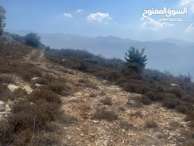 Residential Land for Sale in Chouf Bsaba