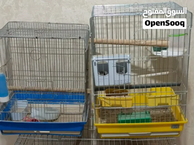 اقفاص عصافير