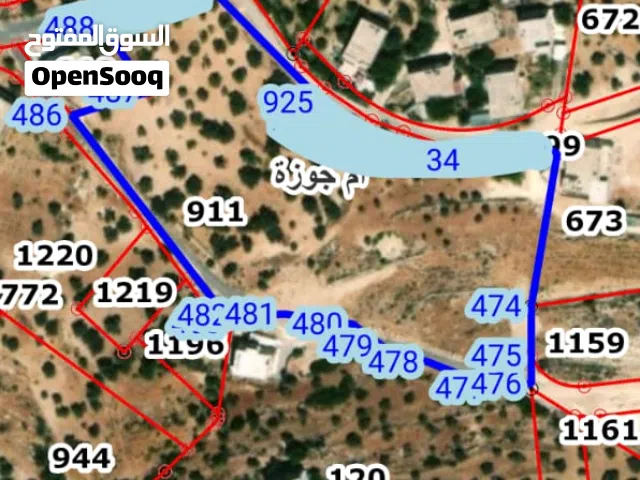 ارض للبيع في السلط طريق دعم الغزالات