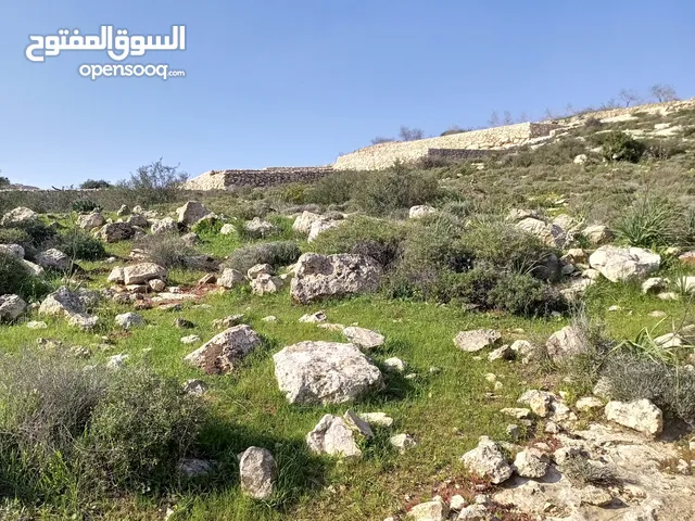 Residential Land for Sale in Hebron Dura
