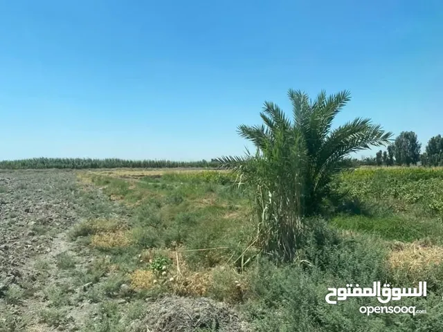 Mixed Use Land for Sale in Baghdad Mahmudiyah