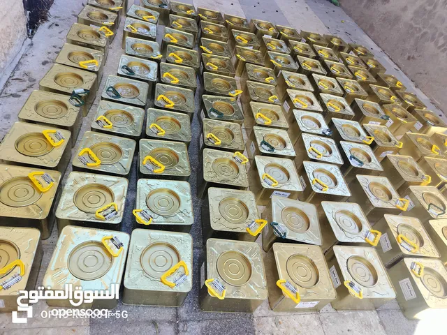 جبنة بيضاء بلدية مغلية