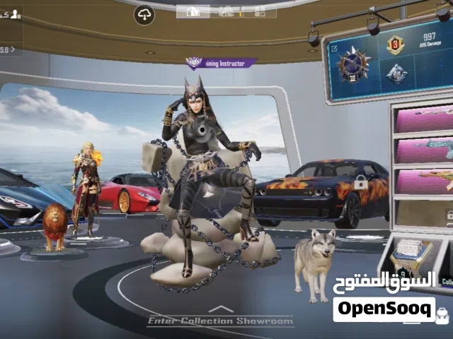 Pubg Accounts and Characters for Sale in Amman