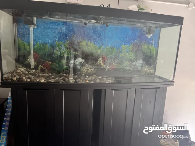 Aquarium for sale