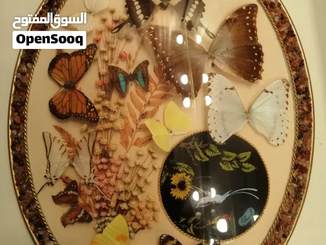 لوحات فرشات محنطة طبيعيه