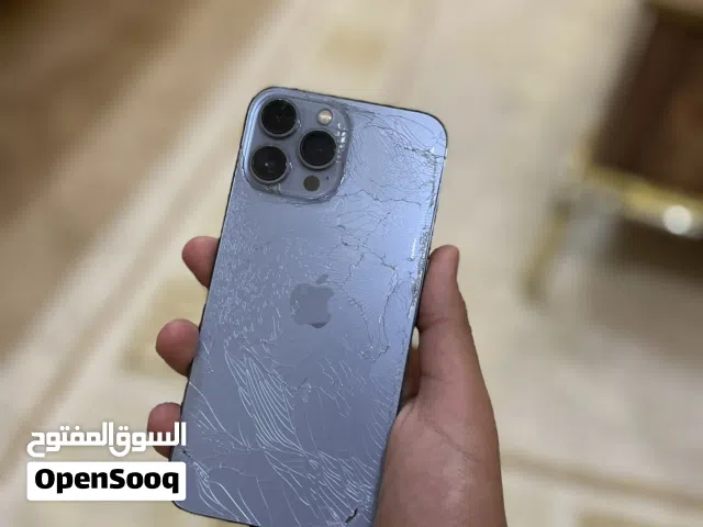 13 برو ماكس كزيوني