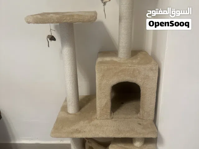 منزل قطة للبيع