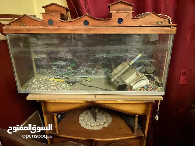 حوض سمك كلاسيكي كبير السعر لقطه .لسرعه البيع