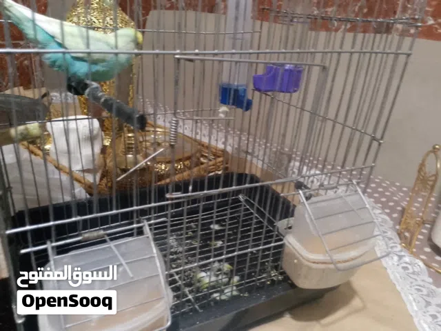 ربي يبارك اعطوا الساعه ما شاء الله جديد2025/12/25