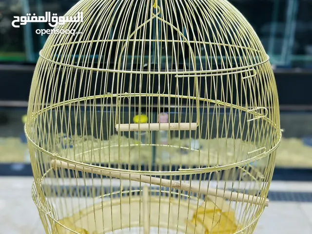 اقفاص طيور ذهبية