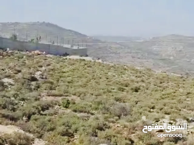 قطعة ارض في سنجل للبيع