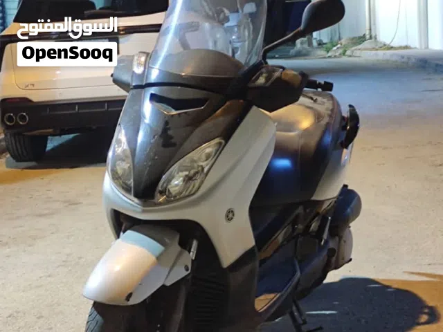 2010 Yamaha XMAX