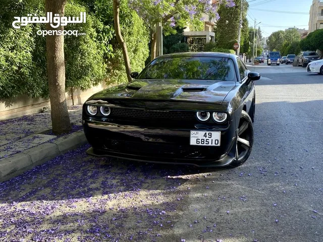 Used Dodge Challenger in Amman