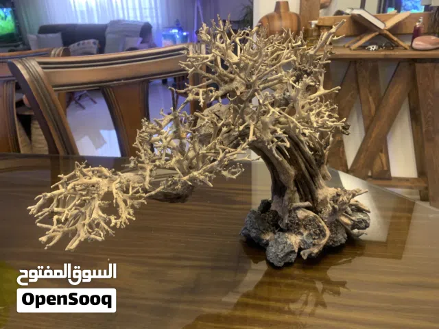 إنارة دوفن 60 سم بحالة ممتازة تفتح لغاية 80 سم