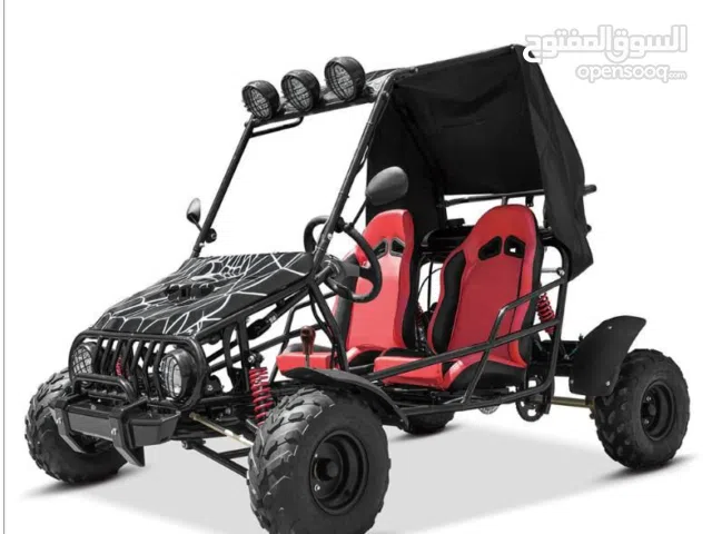 KIDS &ADULT UTV 125CC BUGGIE