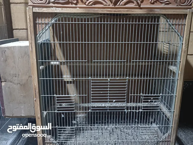 اقفاص مستعمله