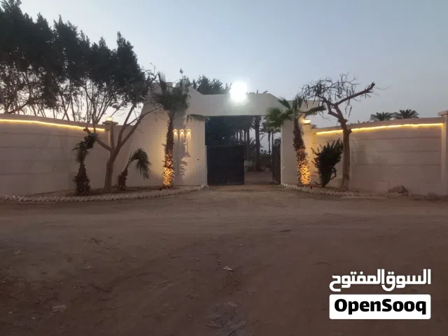 فنى كهربائي electrician  جبسمبورد Gypsum board
