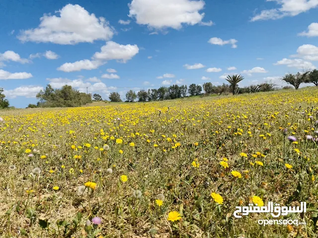 مزرعة للبيع جنوب مدينة صبراتة في منطقة عقار