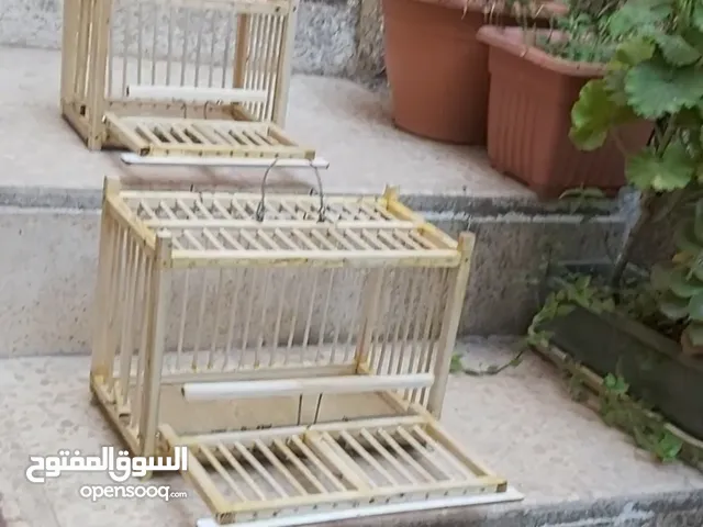 مصائد لجميع انواع الطيور