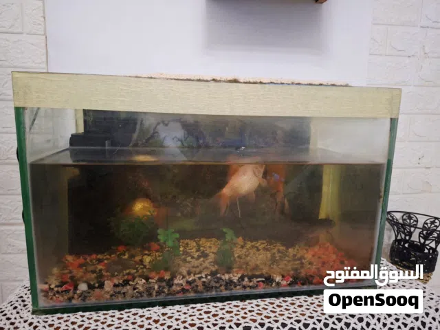 حوض سمك للبيع