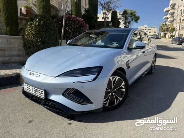 2022, بي واي دي, سيل