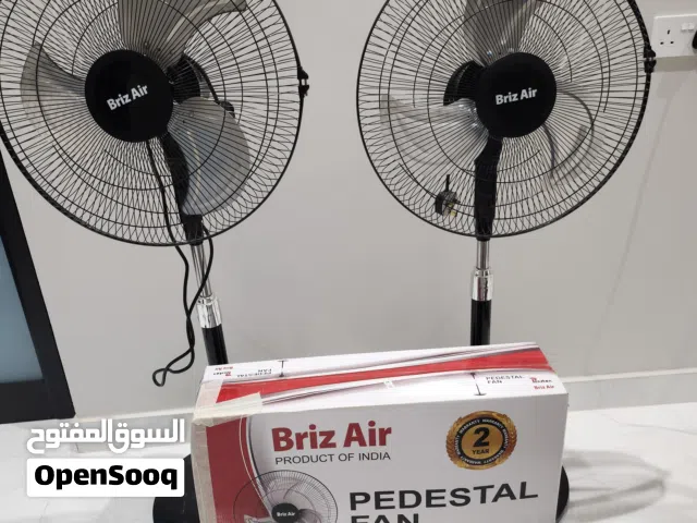Pedestal Fan