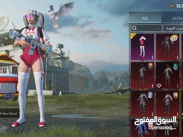 Pubg Accounts and Characters for Sale in Zarqa