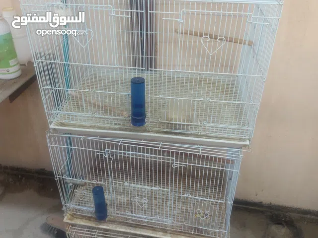 للبيع قفاصة عصافير حجم وسط