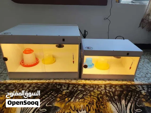 حاضنه تربيه كتاكيت دجاج