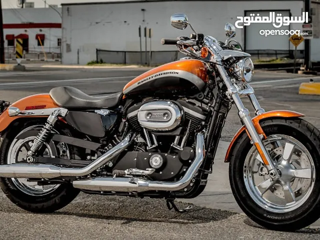 harley davidson custom 1200