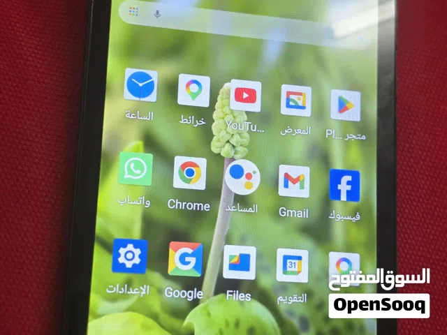 Others Not Defined 32 GB in Irbid