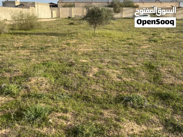 قطعة ارض للبيع مساحة 500 متر،في غوط الرمان خلف مستشفى الكلى غوط الرمان(الدفع كاش او صك)