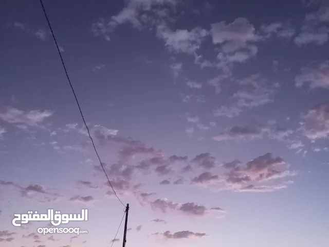 عبدالرحمن المروني