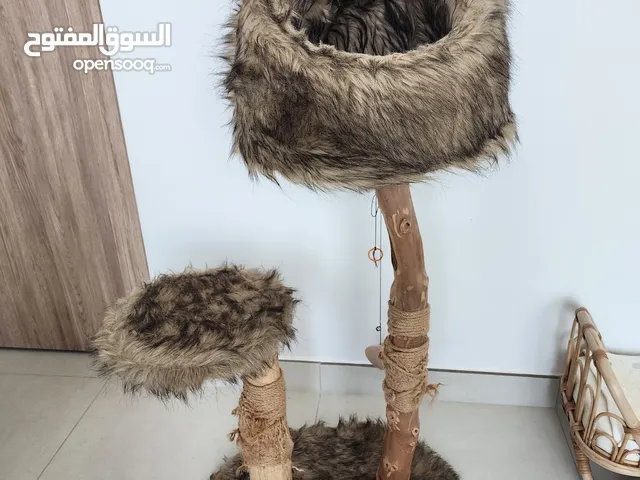 Cat tree/ cat condo