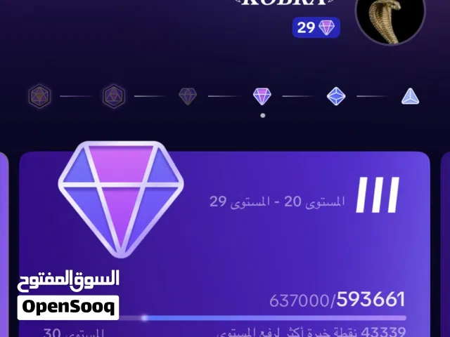 حساب تيك توك للبيع بسعر معقول