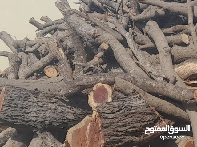 حطب يابس ونظيف خالي من الرمة