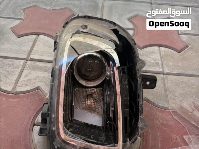 فنار فينو 2019/2020