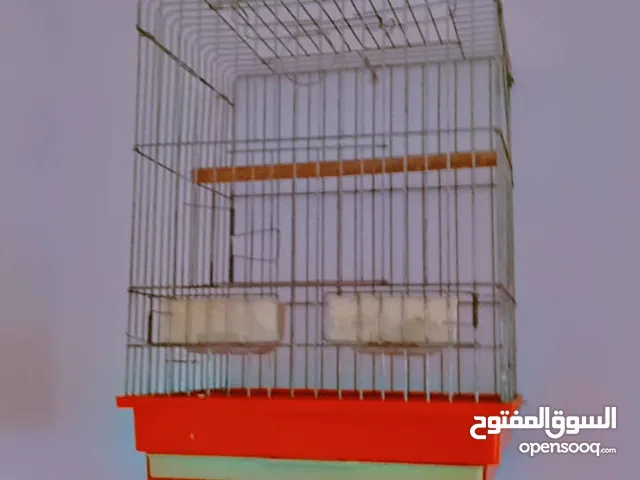 ثلاث اقفاص كاسكو سعر مناسب حرق للبيع