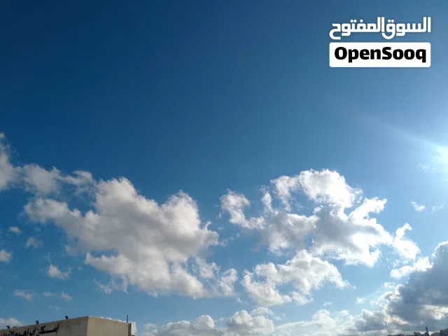 مطلوب بيت للايجار