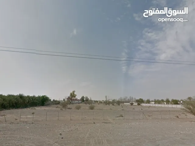 Studio Farms for Sale in Ras Al Khaimah City Downtown