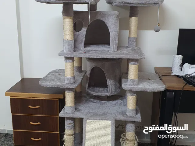 cat accessories