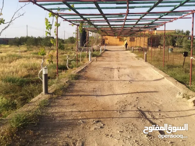 5 Bedrooms Farms for Sale in Benghazi Bu Dresah