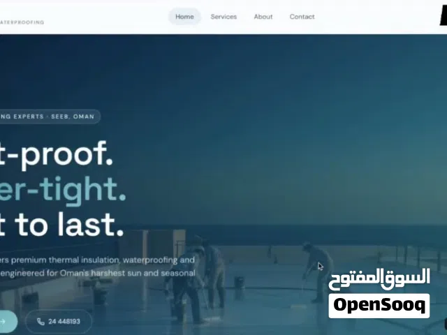 professional website developer  Any kind of website  Details in description