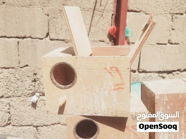 بيوت عصافير