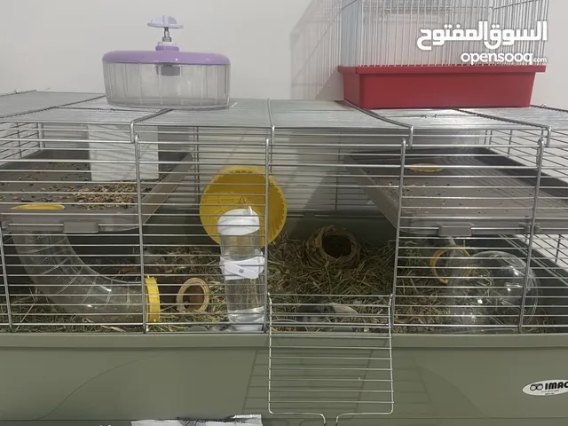 Extra large hamster cage + 1 dwarf hamster قفص كبير مع هامستر