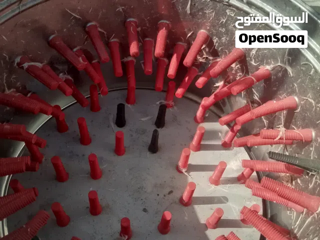 غراض محل دجاج كامله شوف لوصف