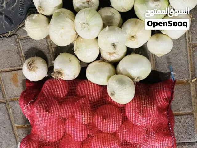 بصل ابیض بالجمله فقط