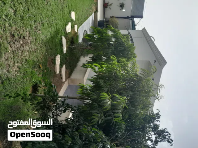 2 Bedrooms Farms for Sale in Tripoli Other