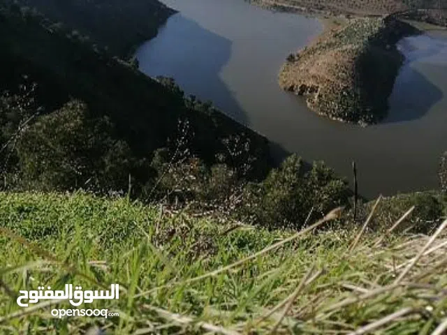 Farm Land for Sale in Jerash Al-Mastaba