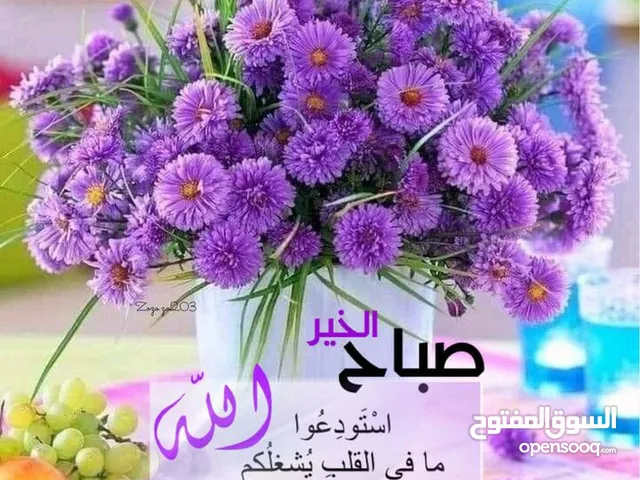 مدرسة لغة عربية